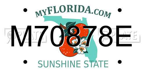 M70878E Florida License Plate