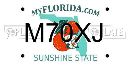 M70XJ Florida License Plate
