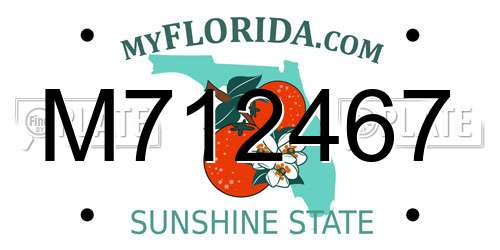 M712467 Florida License Plate