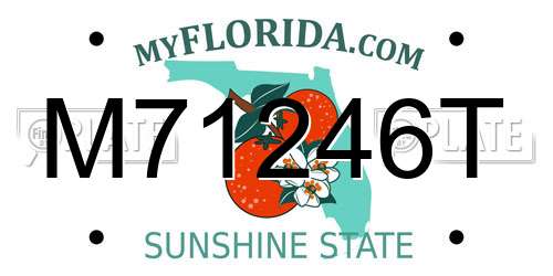 M71246T Florida License Plate