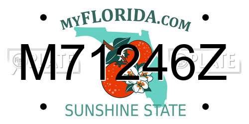 M71246Z Florida License Plate