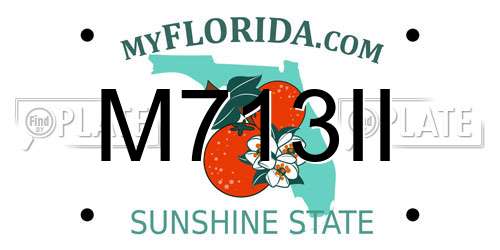 M713II Florida License Plate