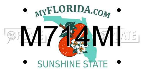 M714MI Florida License Plate