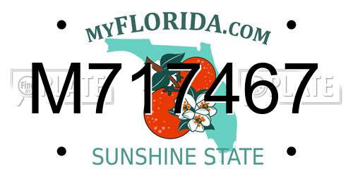 M717467 Florida License Plate