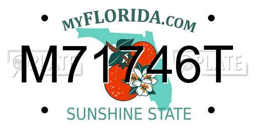 M71746T Florida License Plate