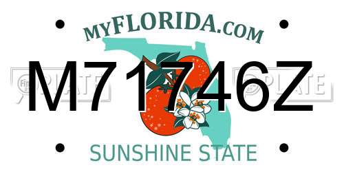 M71746Z Florida License Plate