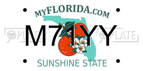 M71YY Florida License Plate