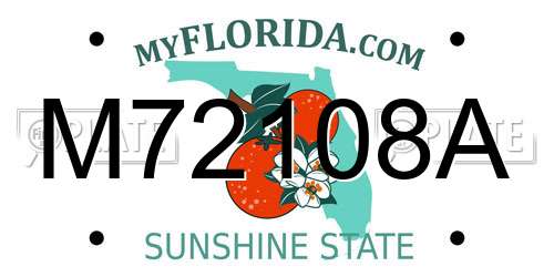 M72108A Florida License Plate