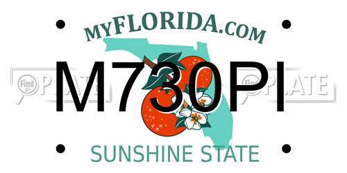 M730PI Florida License Plate