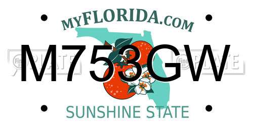M753GW Florida License Plate