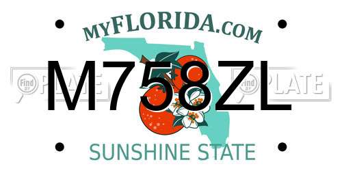 M758ZL Florida License Plate