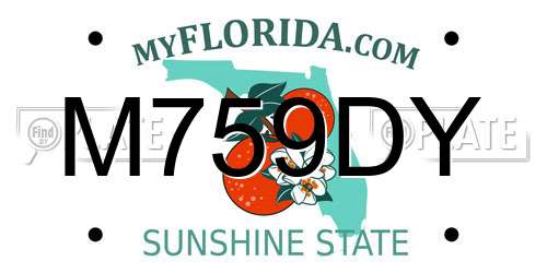M759DY Florida License Plate