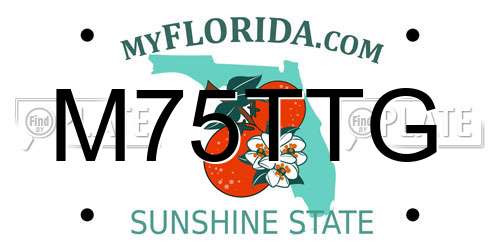 M75TTG Florida License Plate