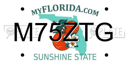 M75ZTG Florida License Plate
