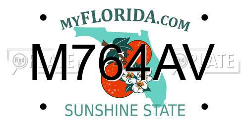 M764AV Florida License Plate
