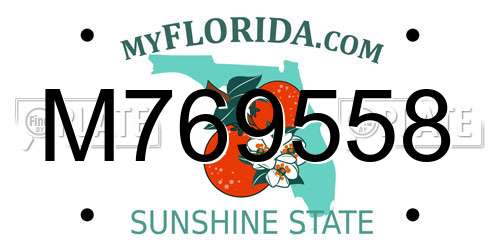 M769558 Florida License Plate