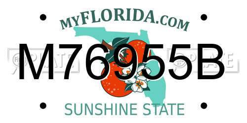 M76955B Florida License Plate