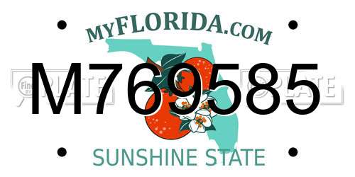 M769585 Florida License Plate