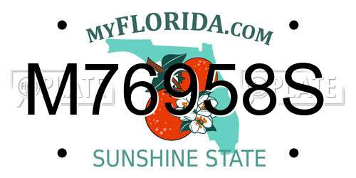 M76958S Florida License Plate