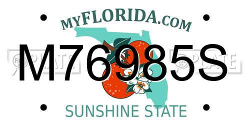 M76985S Florida License Plate