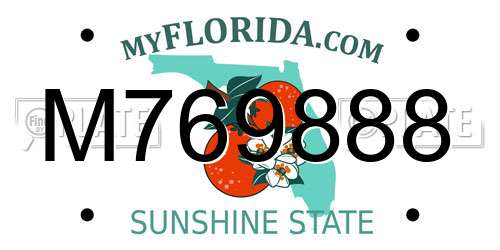 M769888 Florida License Plate