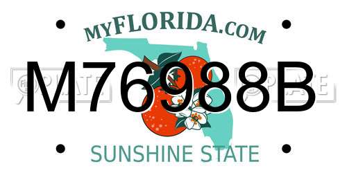 M76988B Florida License Plate