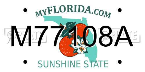 M77108A Florida License Plate