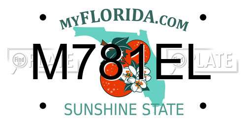 M781EL Florida License Plate