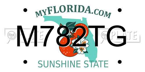 M782TG Florida License Plate