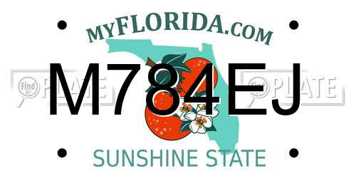 M784EJ Florida License Plate