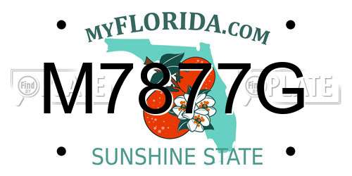 M7877G Florida License Plate