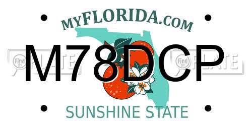 M78DCP Florida License Plate
