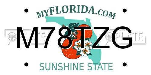 M78TZG Florida License Plate
