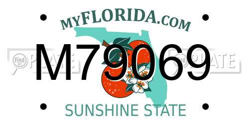 M79069 Florida License Plate