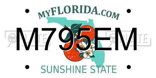 M795EM Florida License Plate