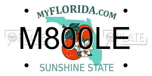 M800LE Florida License Plate