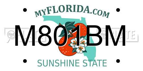 M801BM Florida License Plate