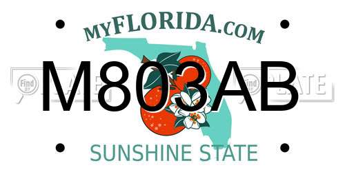 M803AB Florida License Plate