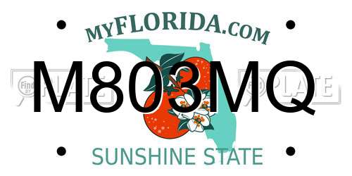 M803MQ Florida License Plate