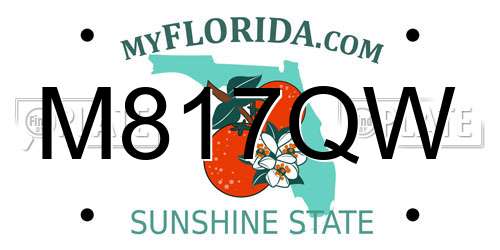 M817QW Florida License Plate