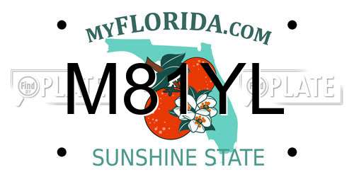 M81YL Florida License Plate
