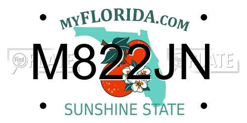 M822JN Florida License Plate