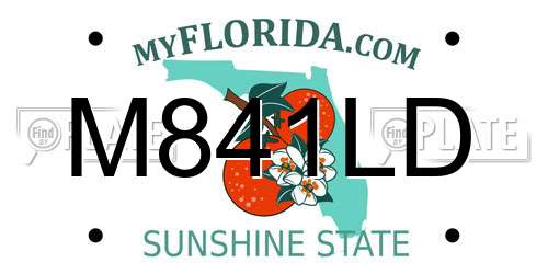 M841LD Florida License Plate