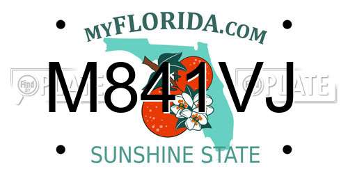 M841VJ Florida License Plate