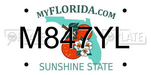 M847YL Florida License Plate