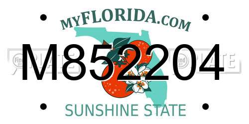 M852204 Florida License Plate