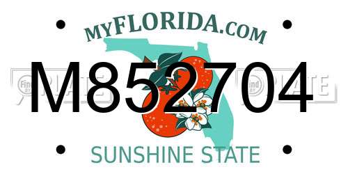 M852704 Florida License Plate