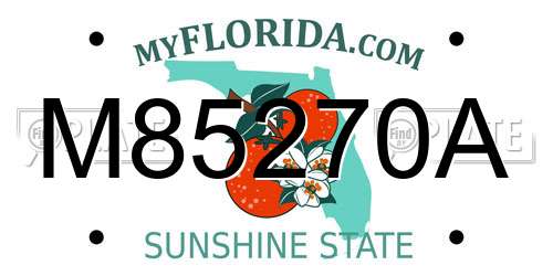 M85270A Florida License Plate