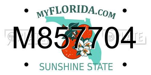 M857704 Florida License Plate