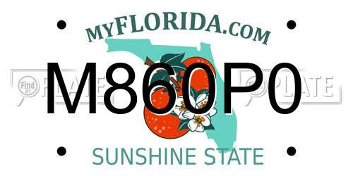M860P0 Florida License Plate